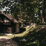 Daire In - Kaernten 41151