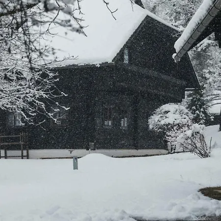 Daire In - Kaernten 41151 Oberaichwald (Carinthia)