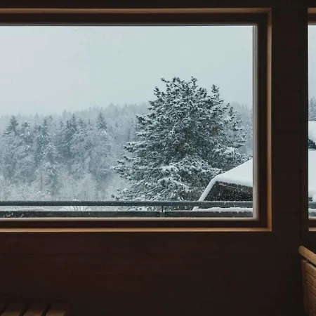 In - Kaernten 41151 Оберайхвальд