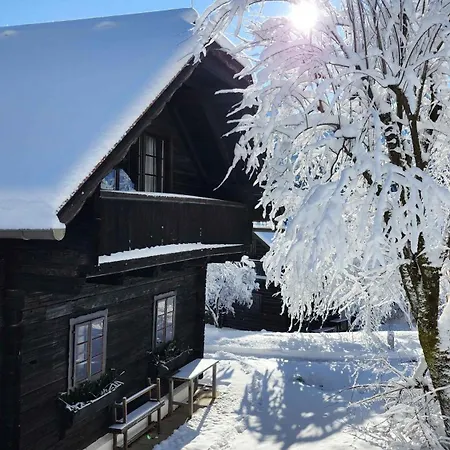 In - Kaernten 41151 Appartement Oberaichwald (Carinthia)