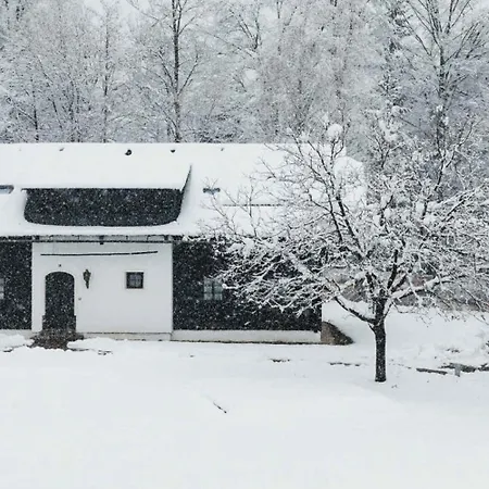 In Oberaichwald - Kaernten 41151 Oberaichwald (Carinthia)