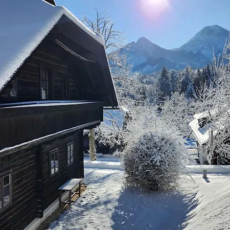 In Oberaichwald - Kaernten 41151 Oberaichwald (Carinthia)