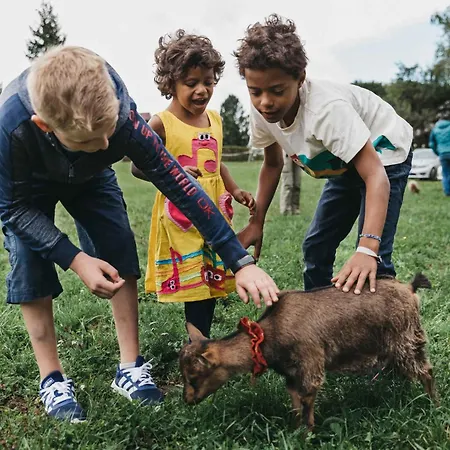 In - Kaernten 41151 Lägenhet Oberaichwald (Carinthia)