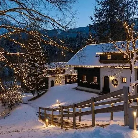 Apartament In - Kaernten 41151