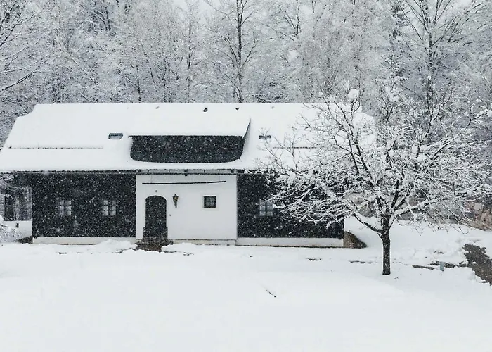 In - Kaernten 41151 Lägenhet