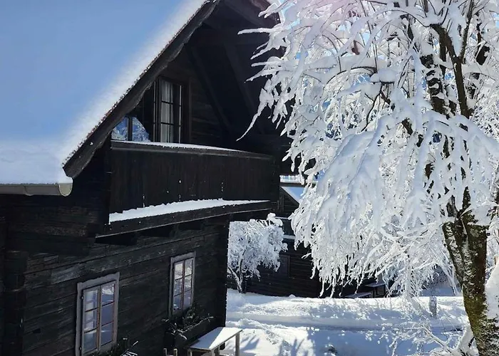 In - Kaernten 41151 Appartamento Oberaichwald (Carinthia)