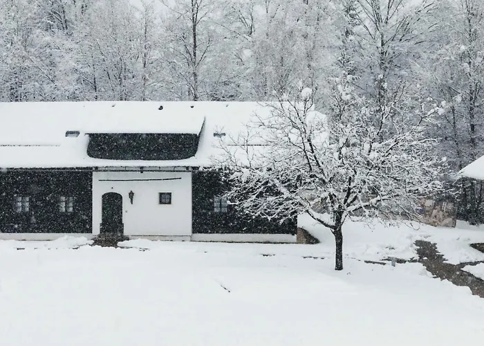 In - Kaernten 41151 Oberaichwald (Carinthia)