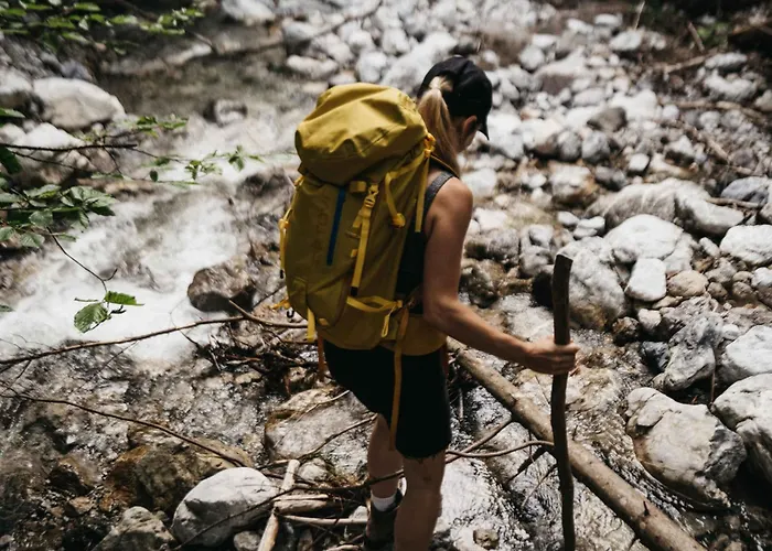 In - Kaernten 41151 *