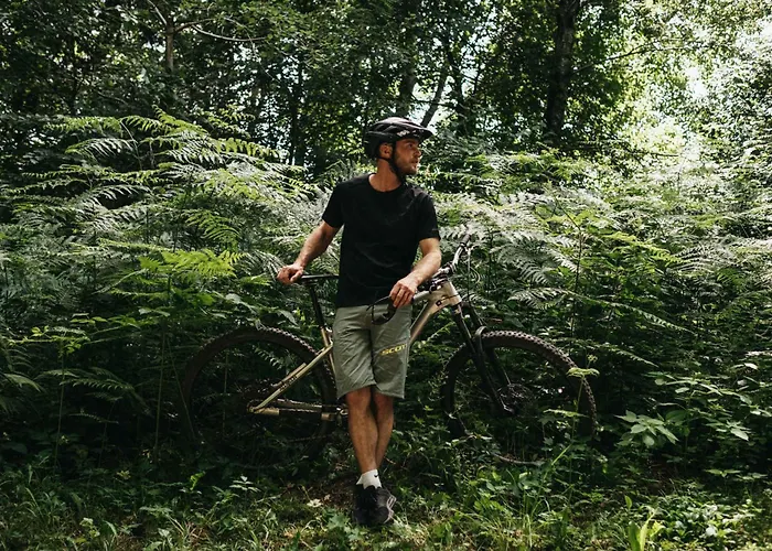 In - Kaernten 41151 *